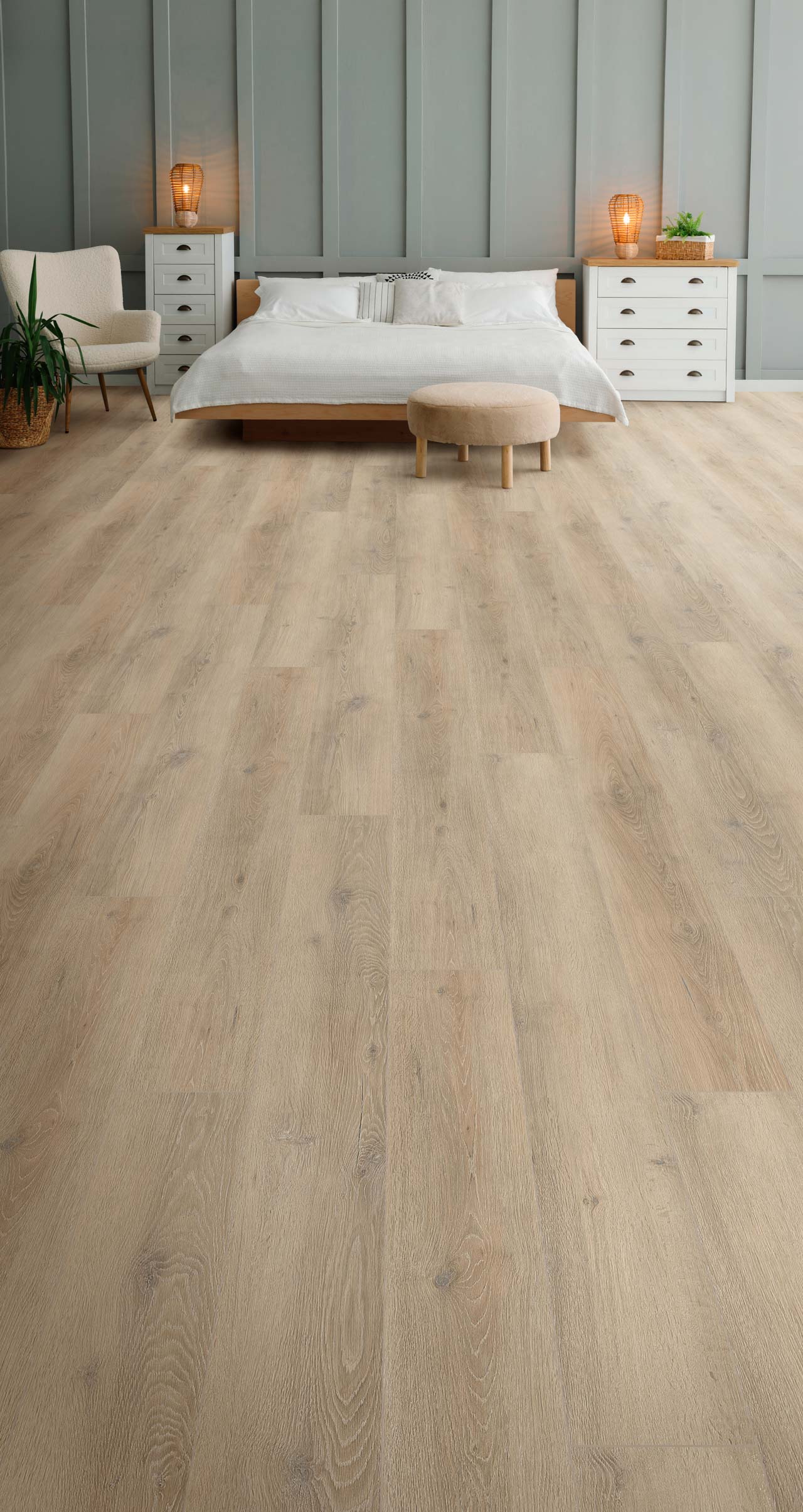 New Standard Plus | DreamWeaver Carpet Flooring | Engineered Floors