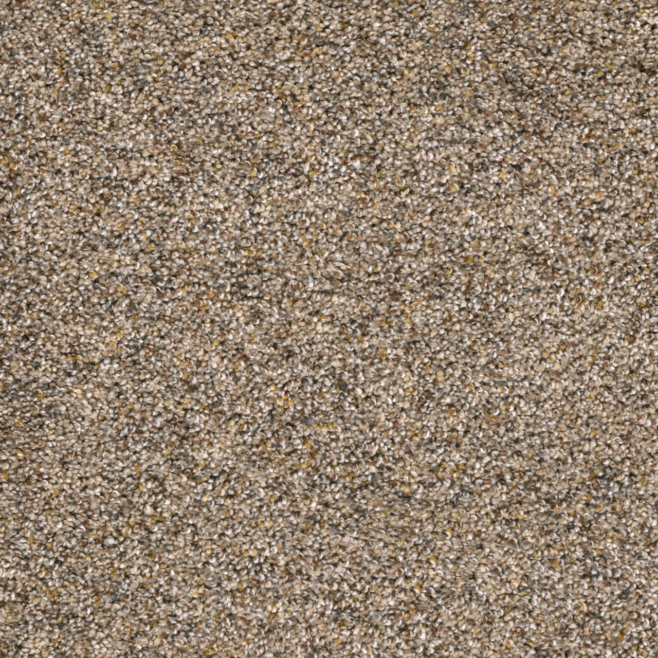 CONFETTI I — Bisque