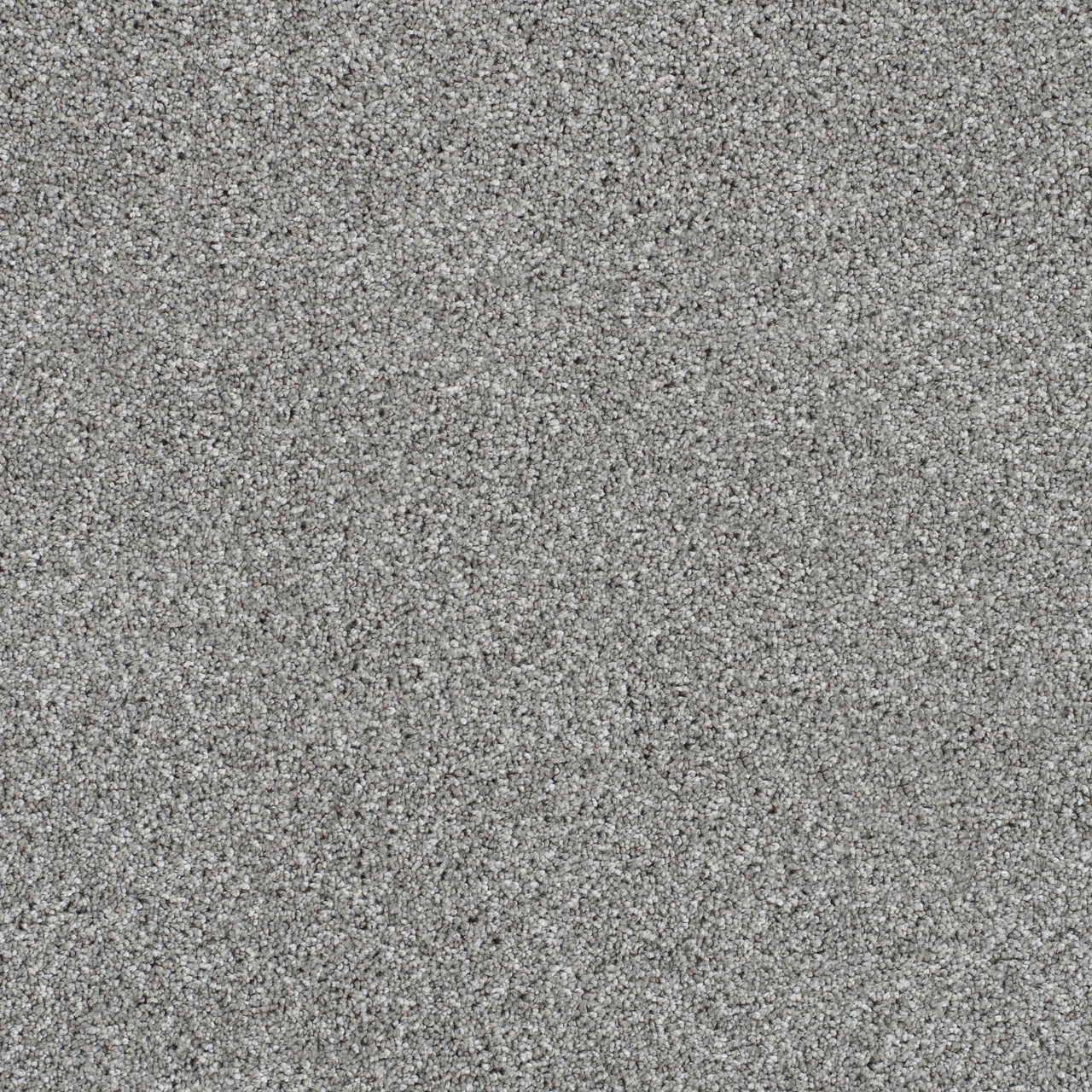 Trendsetter Ii | DreamWeaver Carpet Flooring | Engineered Floors