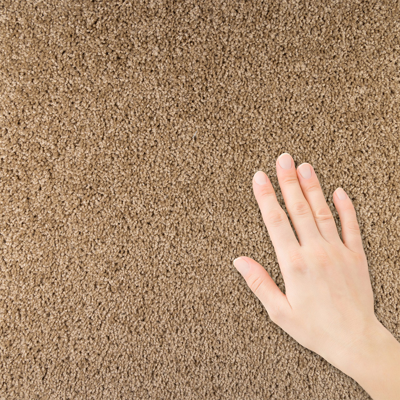 Sp250 | DreamWeaver Carpet Flooring | Engineered Floors