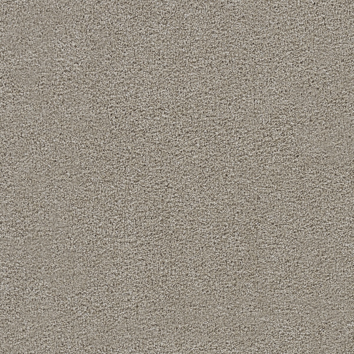 Spectrum Ii | DreamWeaver Carpet Flooring | Engineered Floors