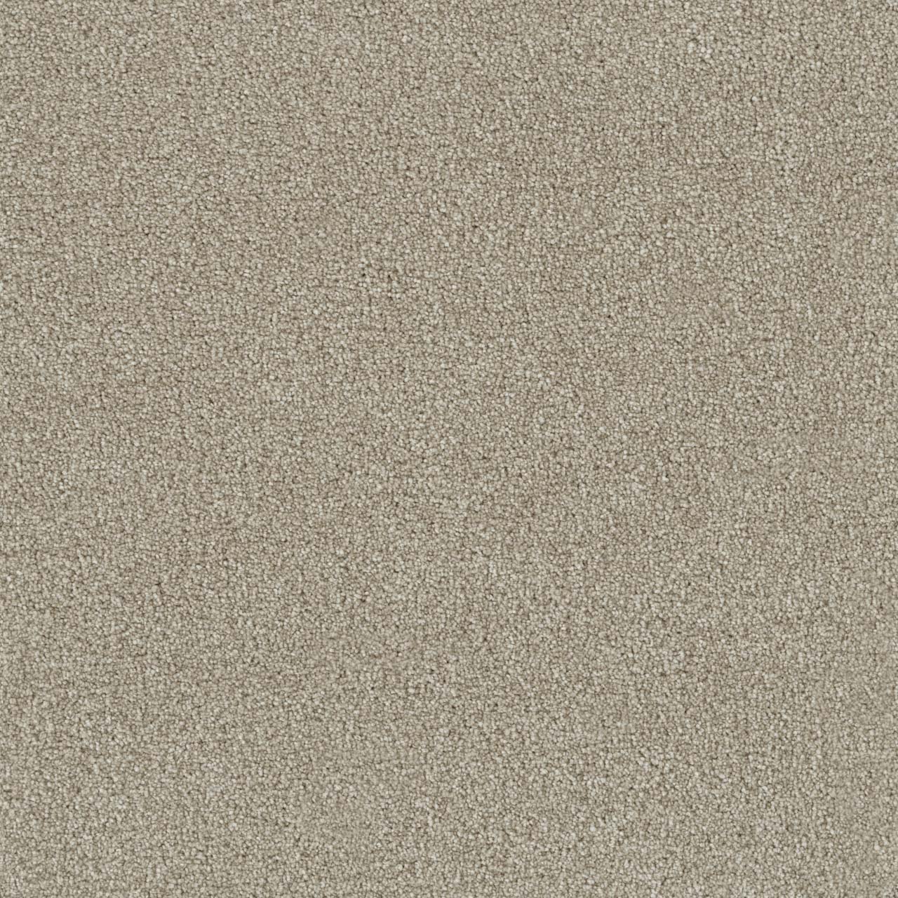 DreamWeaver Foxwood III — Old Bay carpet swatch