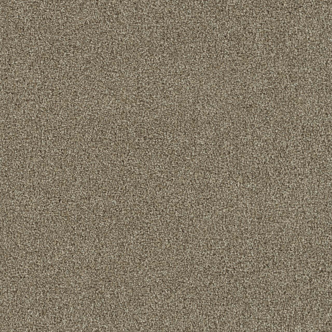 DreamWeaver Foxwood III — Iced Coffee carpet swatch