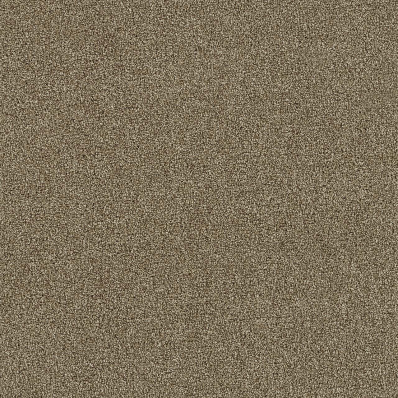 DreamWeaver Foxwood III — Canyon Cliff carpet swatch
