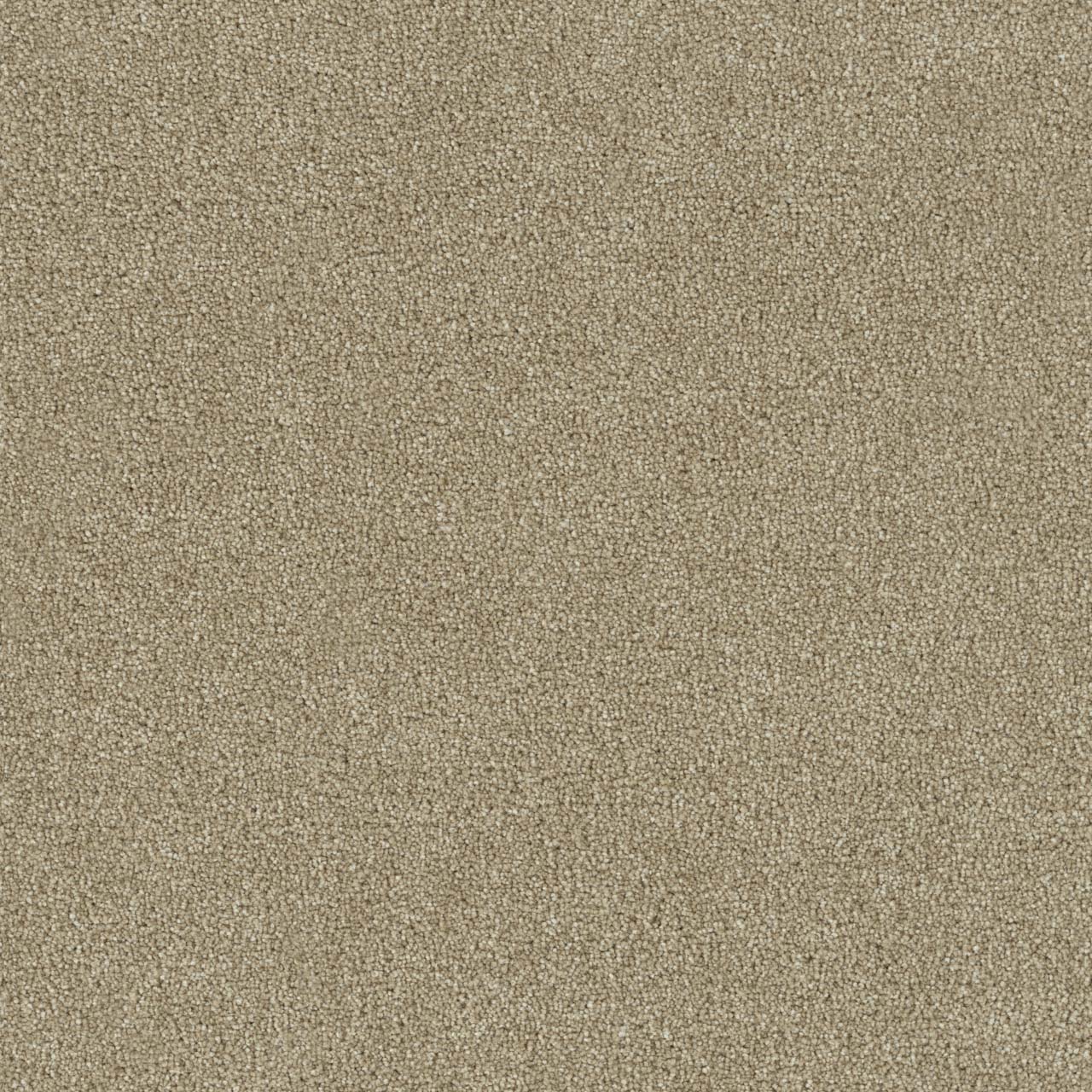 DreamWeaver Foxwood III — Cashmere carpet swatch