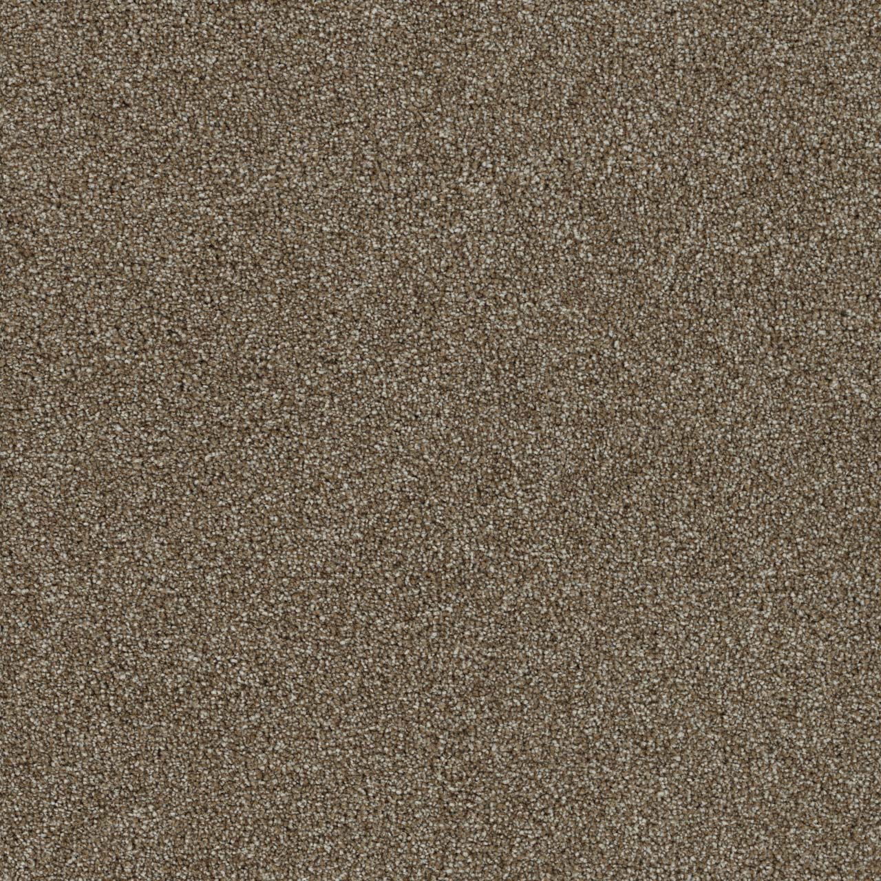DreamWeaver Foxwood III — Ashwood carpet swatch