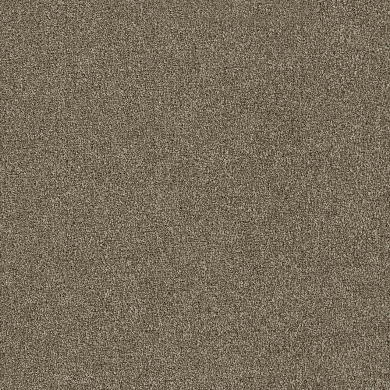 DreamWeaver Foxwood III — Hazelnut carpet swatch