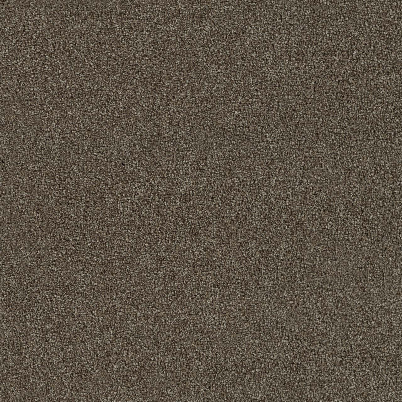 DreamWeaver Foxwood III — Maple carpet swatch