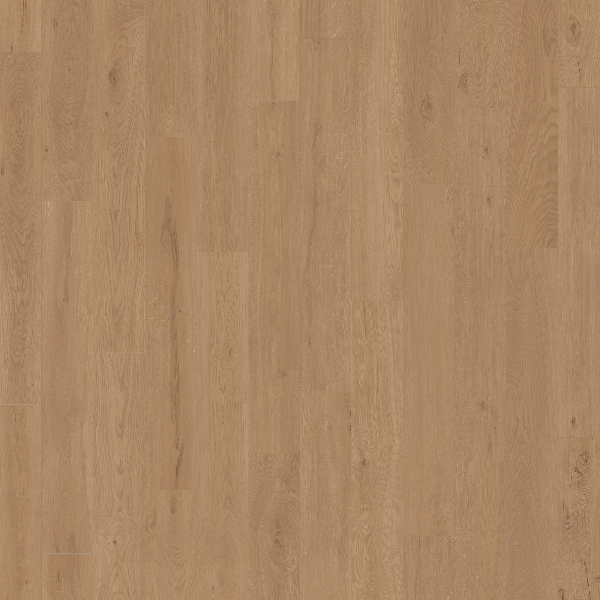 American Standard — Daytona LVP plank color