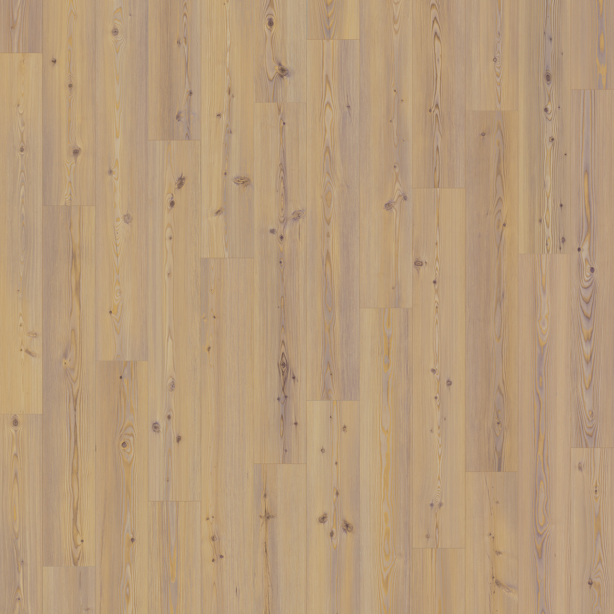 American Standard — Folly LVP plank color