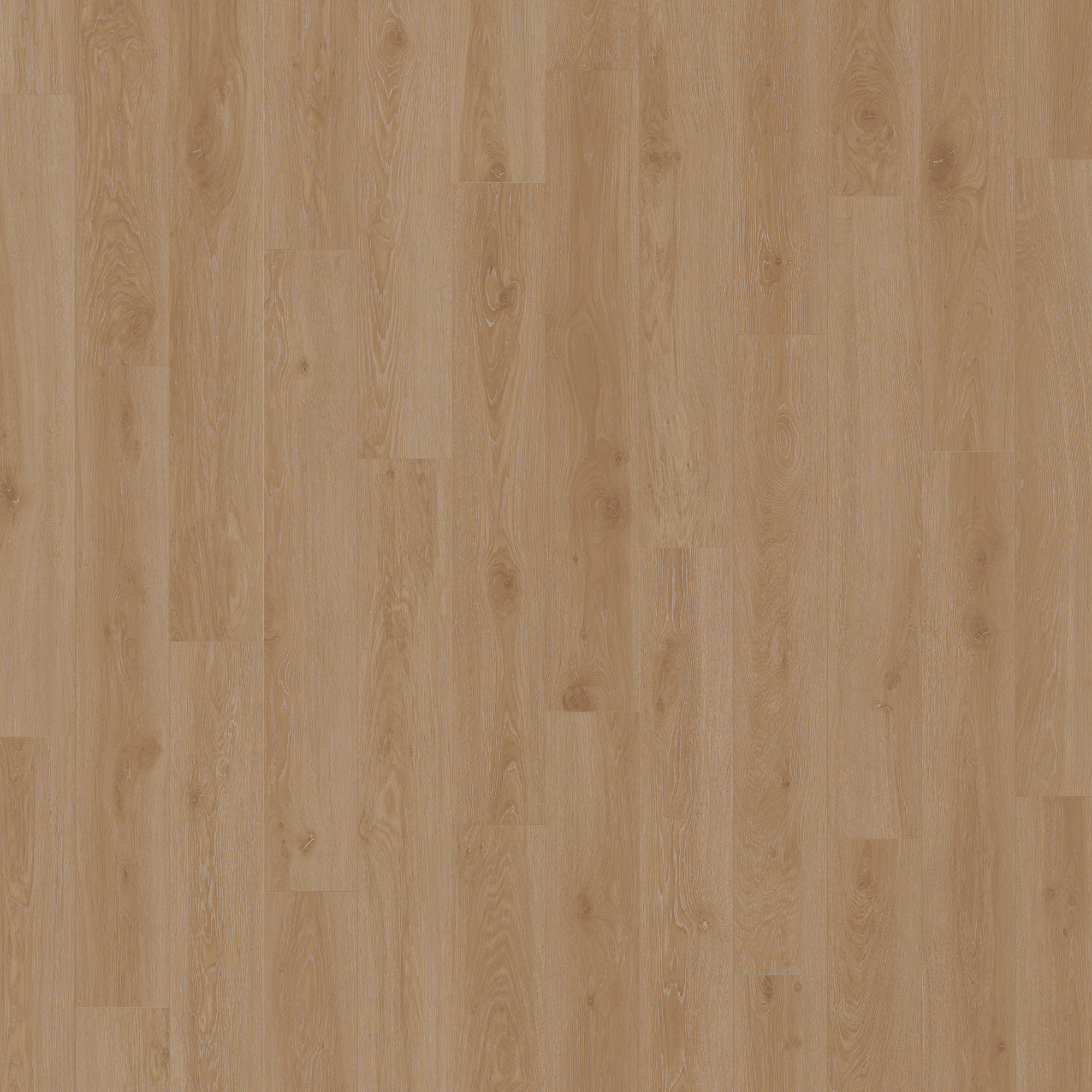 Nurture — Nantucket LVP plank color