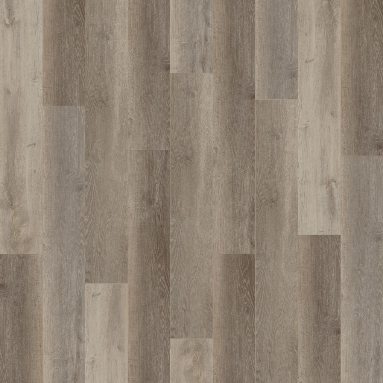 New Standard Plus | DreamWeaver Carpet Flooring | Engineered Floors