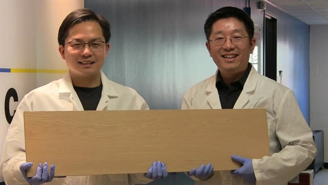 New Super Wood is Strong as Titanium