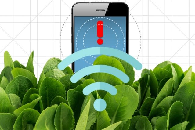 Using Spinach to Detect Explosives