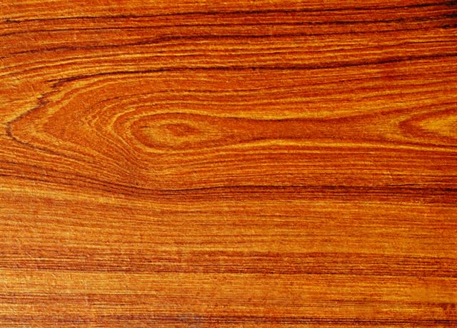 Transparent Wood Windows are Cooler than Glass