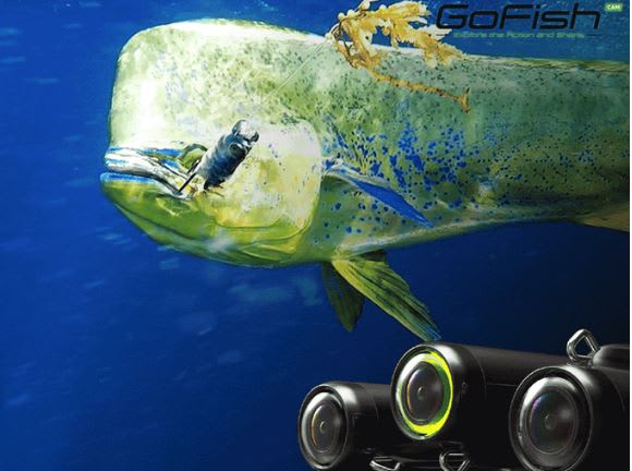 Fishing Goes High Tech with Fish Call and GoFish Cam
