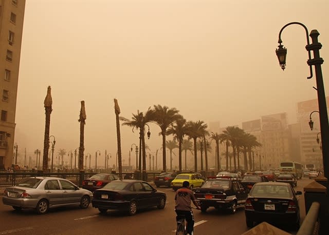 TU Delft Students Look to Improve Environmental Future