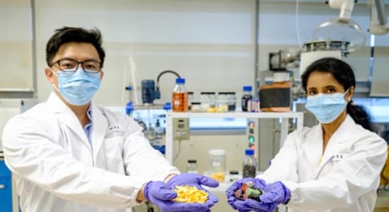 Using Fruit Peel Waste to Recycle Lithium Batteries