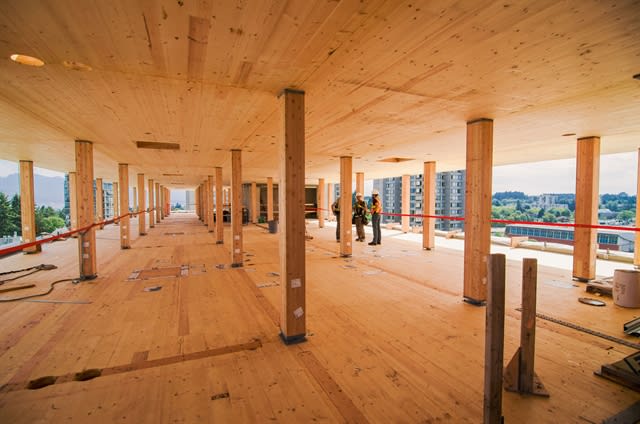UBC Branches out into Tall Wood Structures Using BIM
