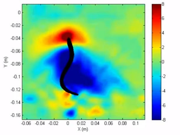 Lamprey Eels Inspire Suction-Based Underwater Propulsion