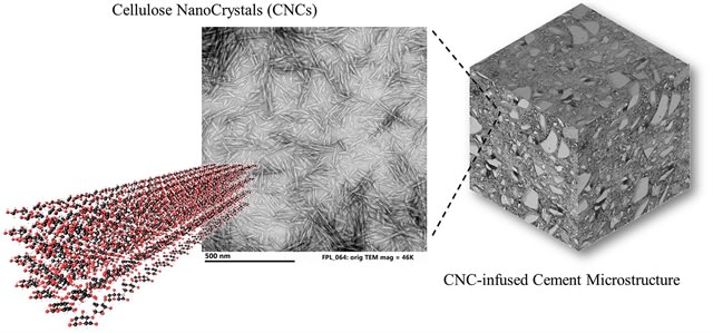 Concrete Builds Strength Thanks to Wood Nanocrystals