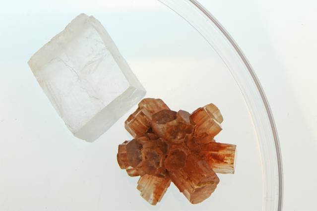 Seashells, the Key to On-Demand Materials