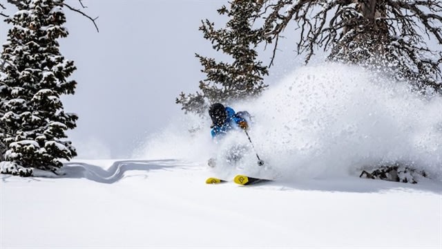 Ski Manufacturer Goes Green with Microalgae Technology