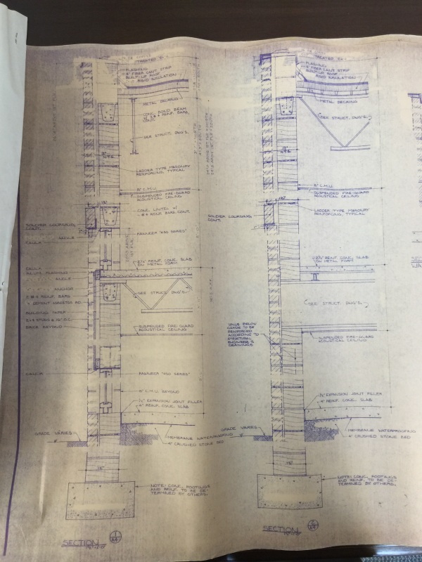 image_vnp9ep.jpg