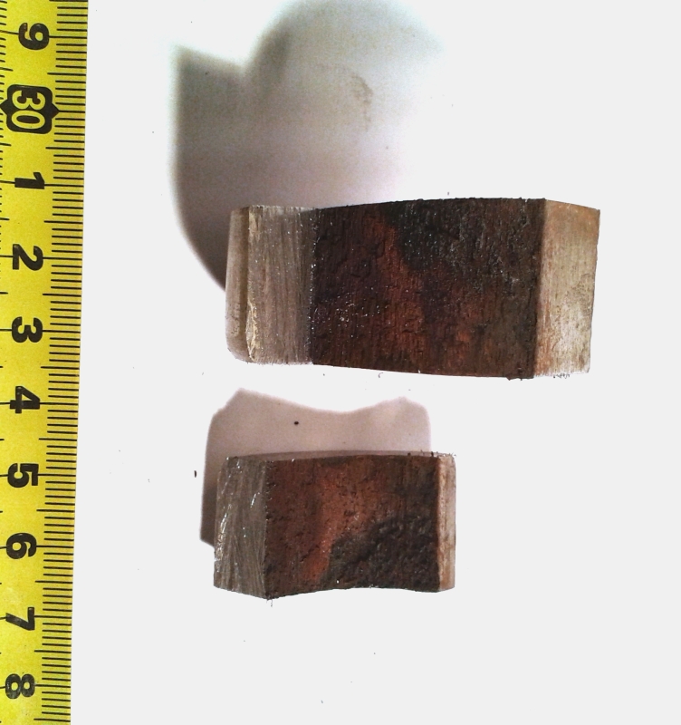 20150715_122249_lxuoyc.jpg