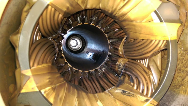 IMAG0580_xmg8xv.jpg