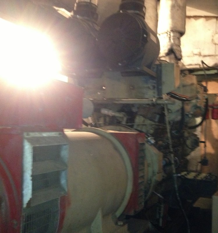 photo3_hwv4sd.jpg