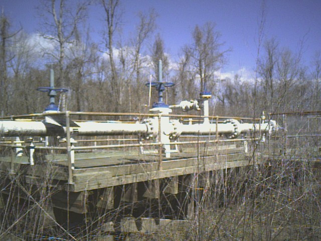 img013_gdixth.jpg