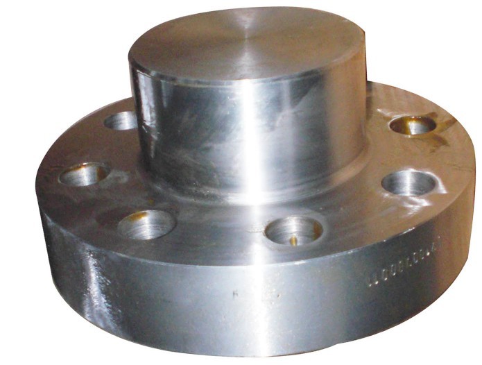 tapped blind flange