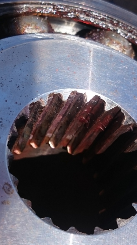 DSC_1968_oitmdo.jpg