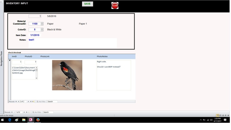Bird_Example_wqzxv7.jpg