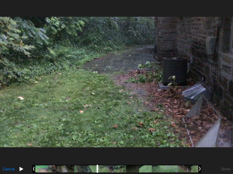 back_yard_wwessr.png