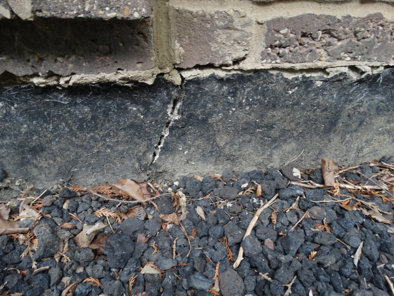 DSC02390_rgqoy1.jpg