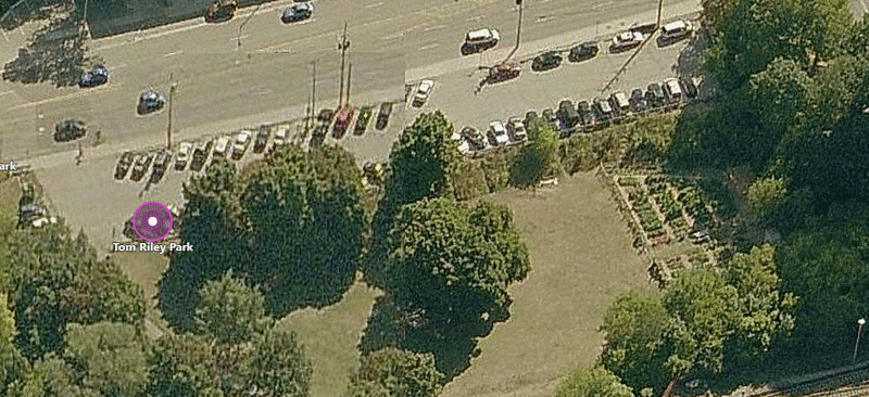 Tom_Riley_Park_Etobicoke_jzp6nr.gif