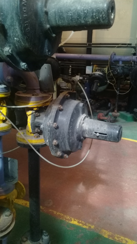 20170803_141535_om6cnc.jpg