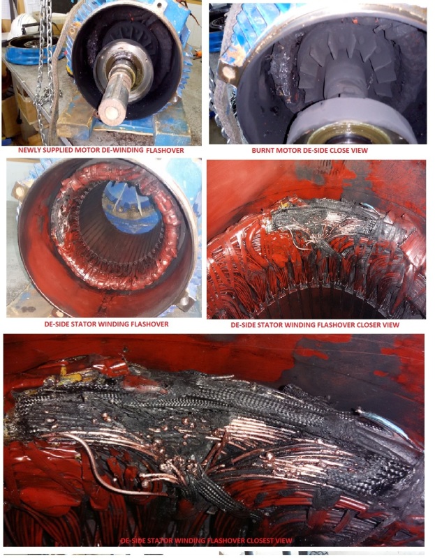 motor winding rtd