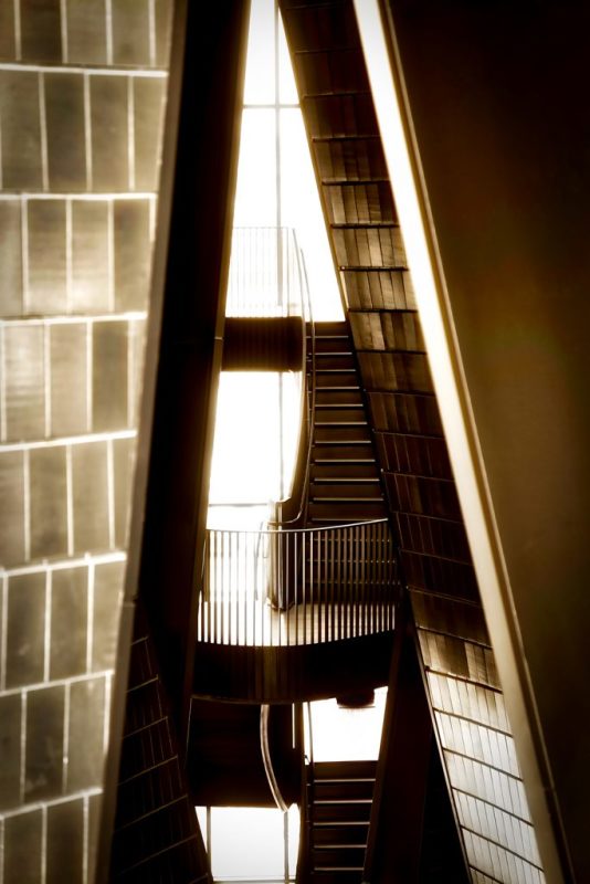 NMC-Silhouette2sm-683x1024_docvqe.jpg