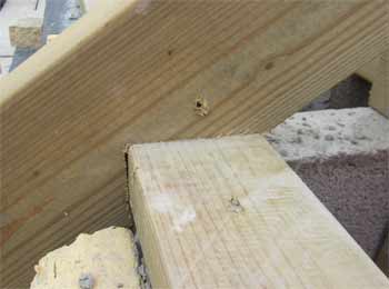 birdsmouth-joint-on-wallplate_w1ph30.jpg