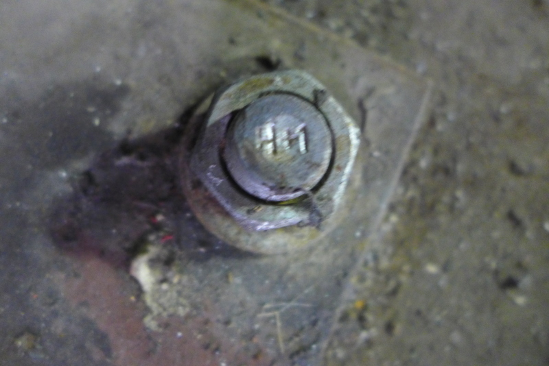 P1170606_wnfyk0.jpg