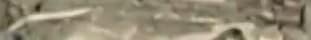 snapshot03C_hbj8ny.jpg