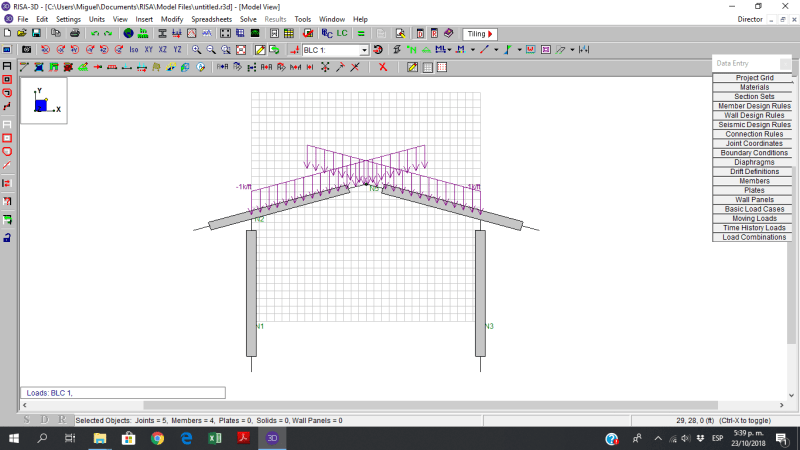 risa 3d crack