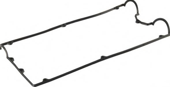 gasket_ztfmv7.jpg