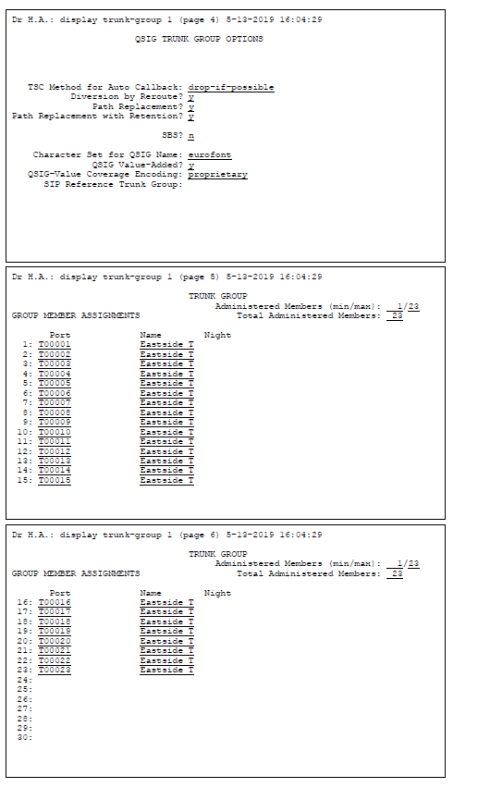 display_trunk-group_1A_pnxcgb.png