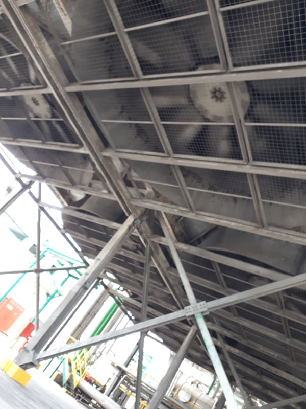 20190606_091904_vzr77u.jpg