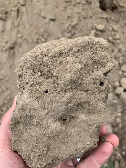 Pineholes_1_ct0fkw.jpg