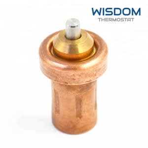 wax-motor-for-screw-air-compressor-spare.jpg_300x300_kxnxtk.jpg